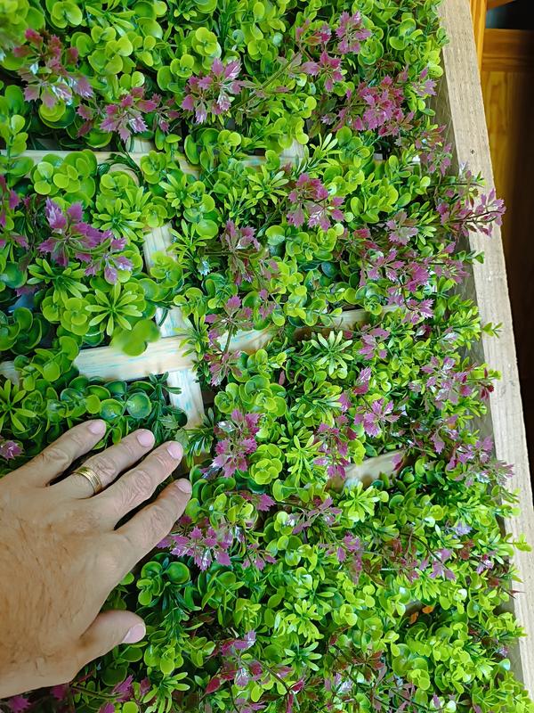 Abrir modal de revisión 4 de 4