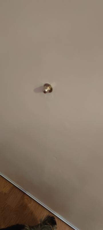 Abrir modal de revisión 2 de 2