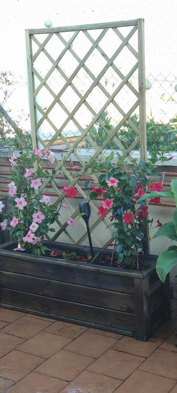 Abra o modal de avaliação 1 de 1