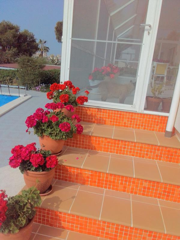 Abrir modal de revisión 1 de 1