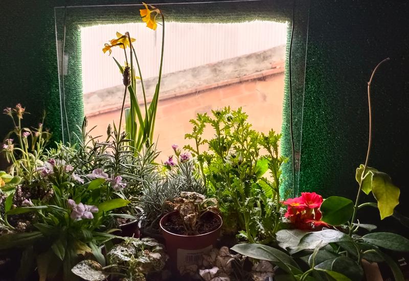 Abrir modal de revisión 1 de 1