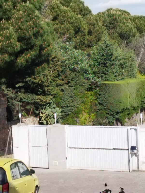 Abra o modal de avaliação 1 de 1