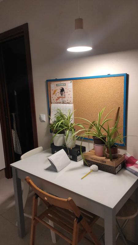 Otwórz okno opinii 2 na stronie 2