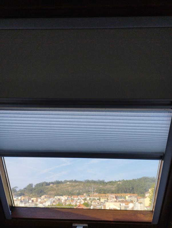 Abrir modal de revisión 5 de 5