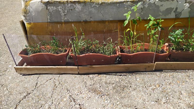 Ouvrir la fenêtre modale de l'avis 6 sur 6