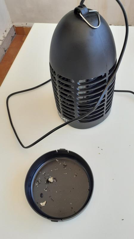 Abra o modal de avaliação 4 de 5