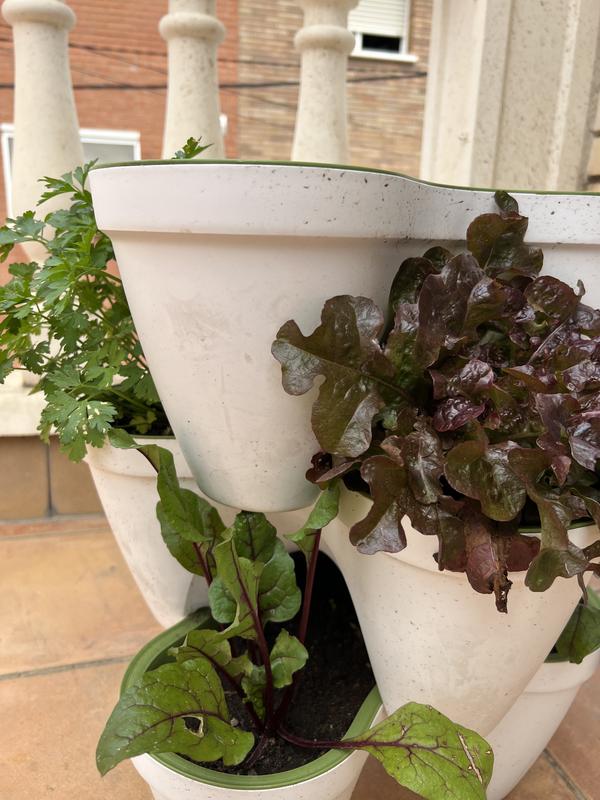 Abra o modal de avaliação 1 de 1