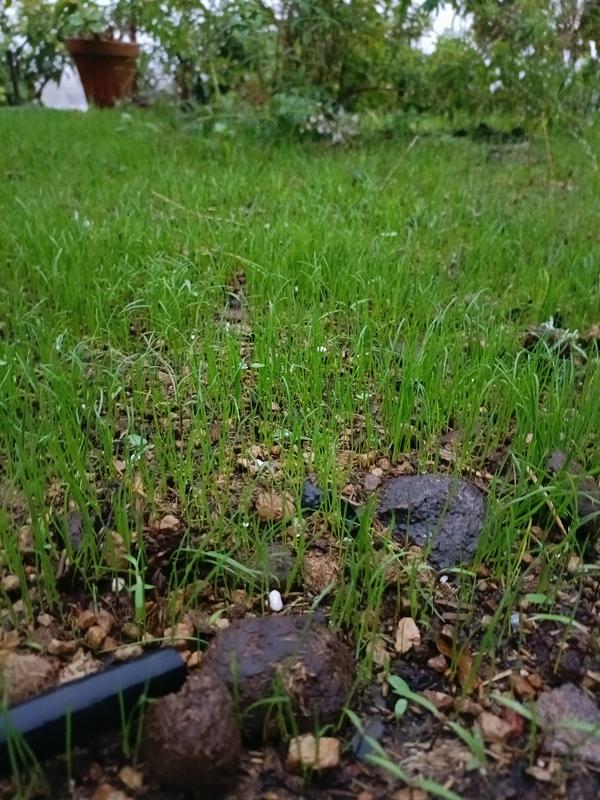 Abra o modal de avaliação 1 de 1