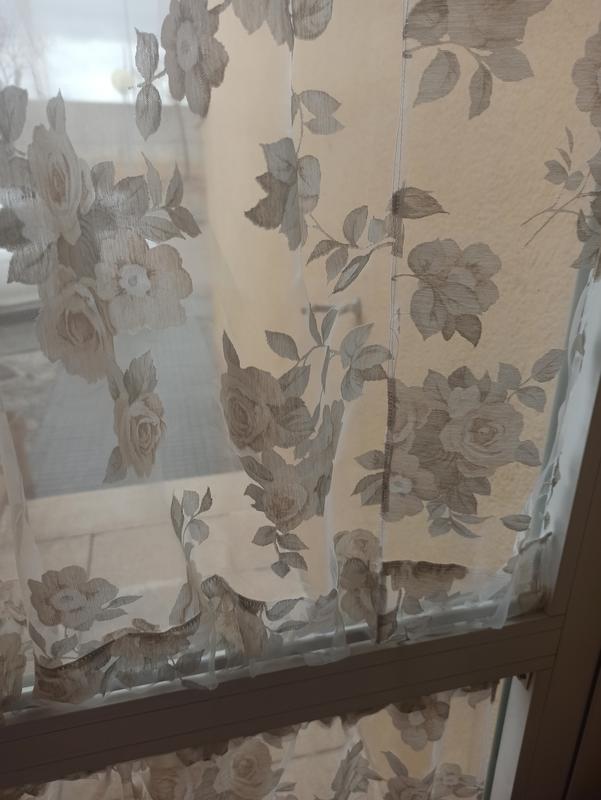 Abra o modal de avaliação 1 de 1