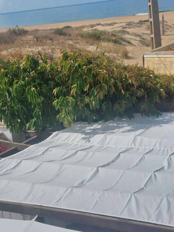 Revisione aperta modale 1 su 1