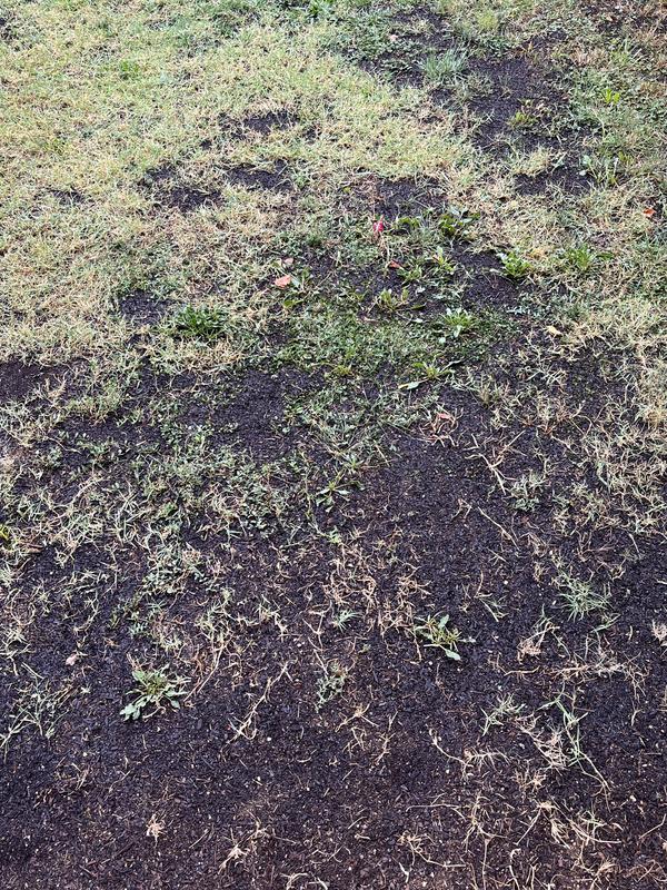 Abrir modal de revisión 1 de 1