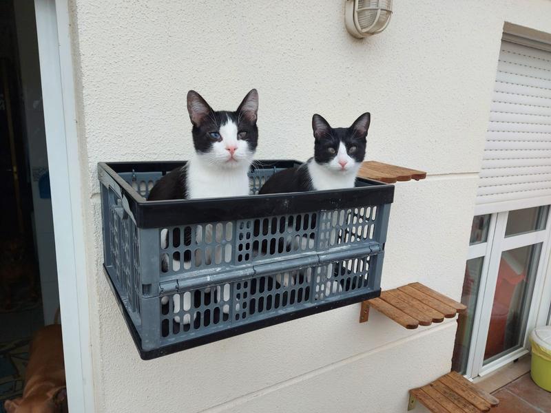 Abrir modal de revisión 1 de 1