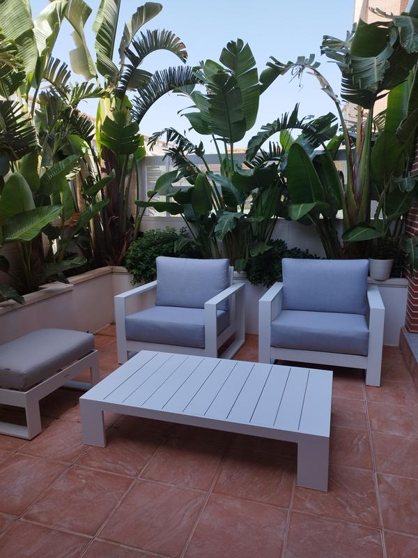 Abrir modal de revisión 1 de 1