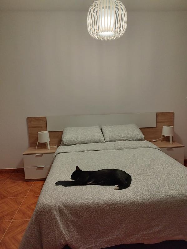 Abrir modal de revisión 1 de 1