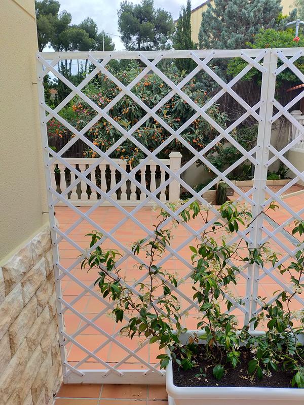 Abra o modal de avaliação 2 de 2