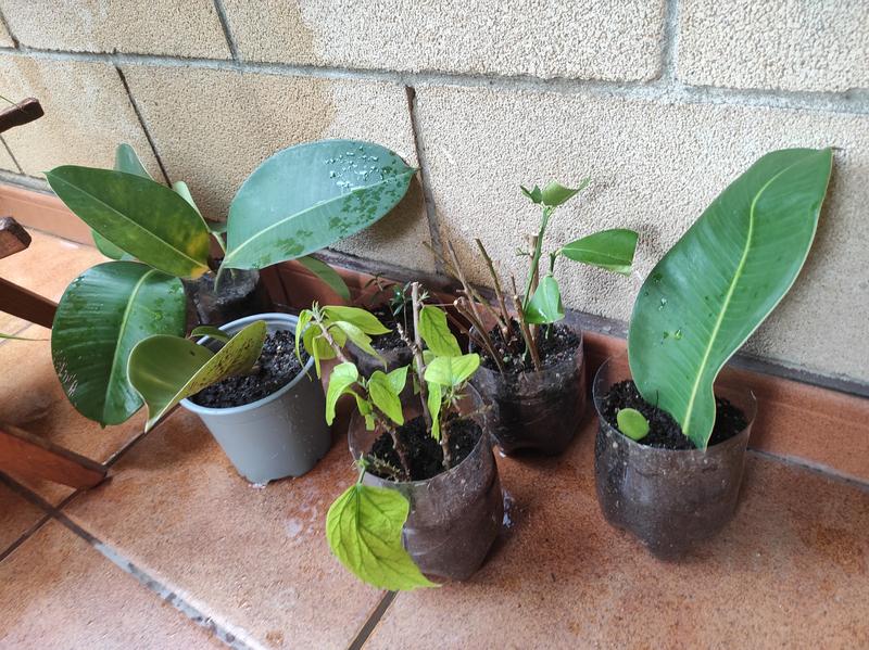 Abrir modal de revisión 1 de 1