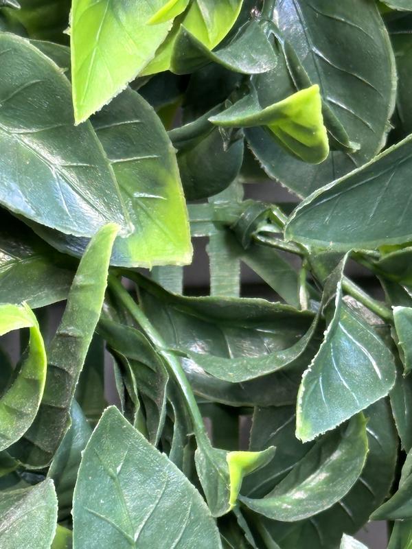 Abra o modal de avaliação 3 de 3