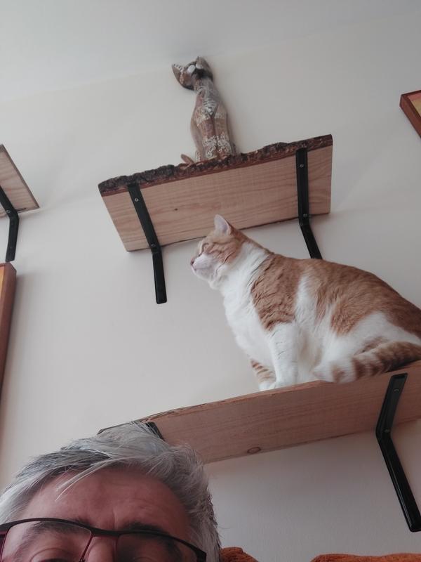 Abrir modal de revisión 1 de 1