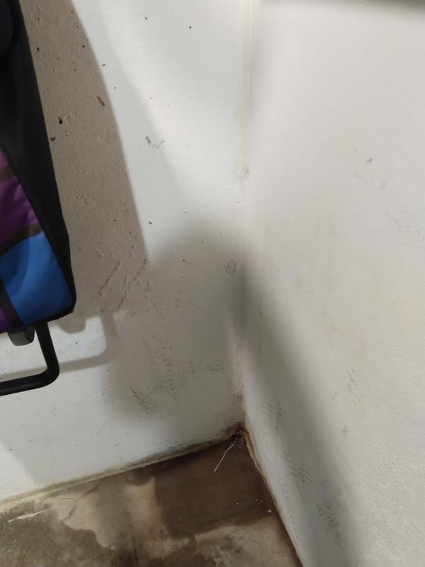 Abrir modal de revisión 3 de 3