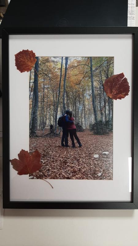 Abrir modal de revisión 1 de 1