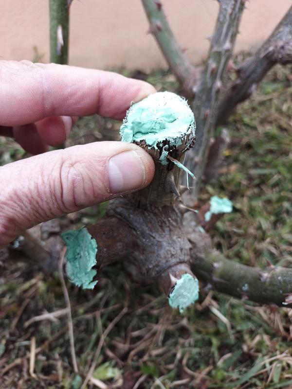 Abra o modal de avaliação 1 de 1