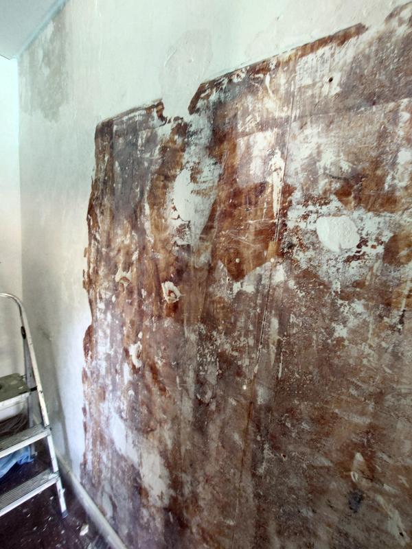 Abrir modal de revisión 1 de 1