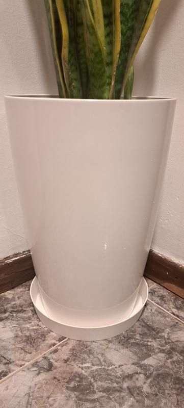 Abrir modal de revisión 1 de 2