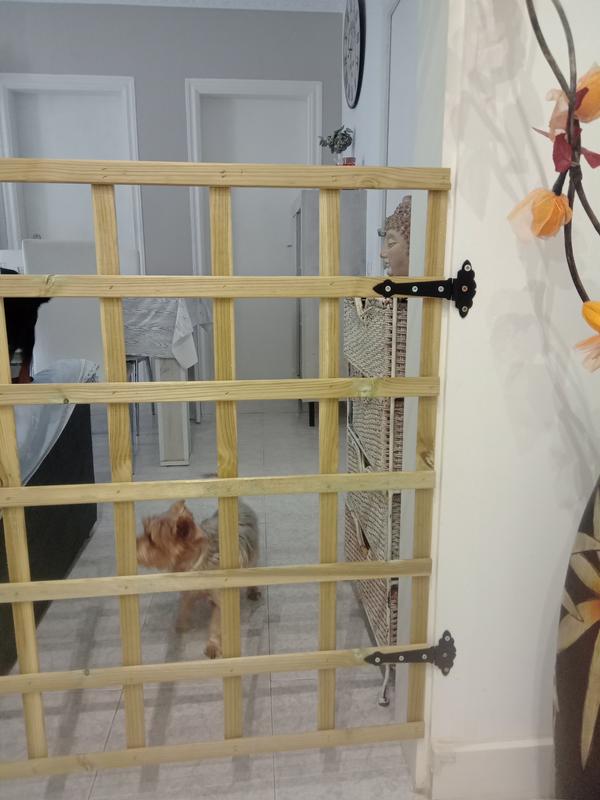 Abrir modal de revisión 1 de 1