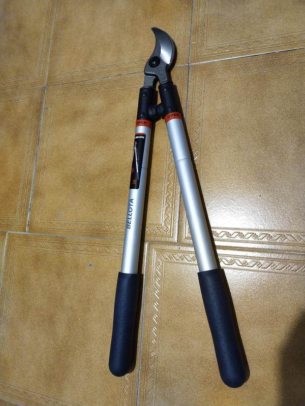 Abrir modal de revisión 1 de 1