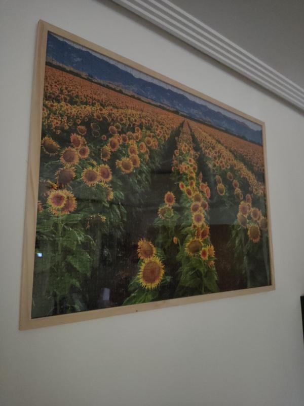 Abrir modal de revisión 1 de 1