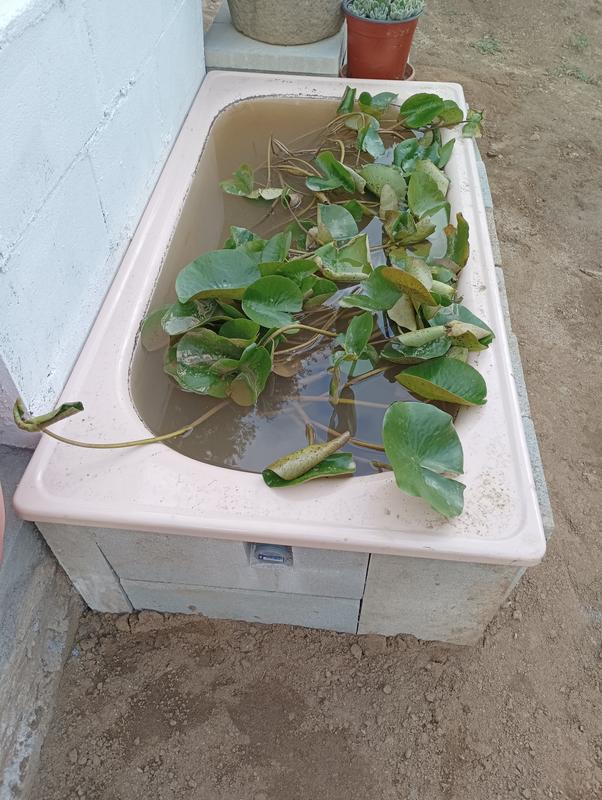 Abrir modal de revisión 2 de 2