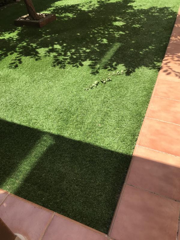 Abrir modal de revisión 1 de 2