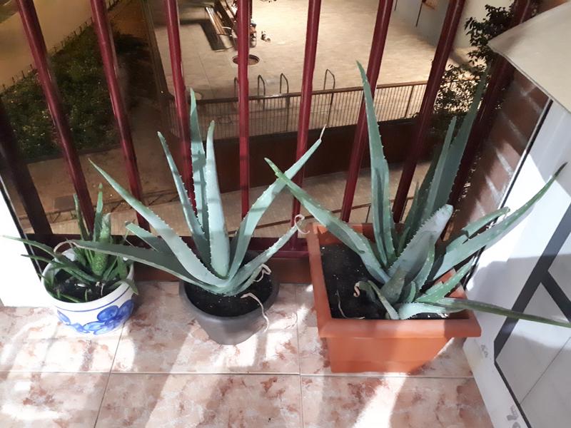 Abrir modal de revisión 1 de 5