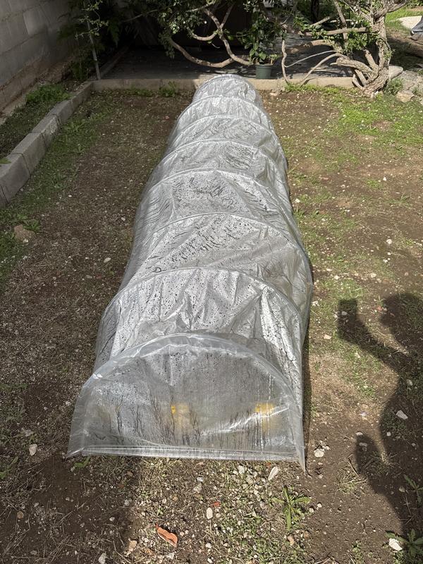 Abrir modal de revisión 1 de 1