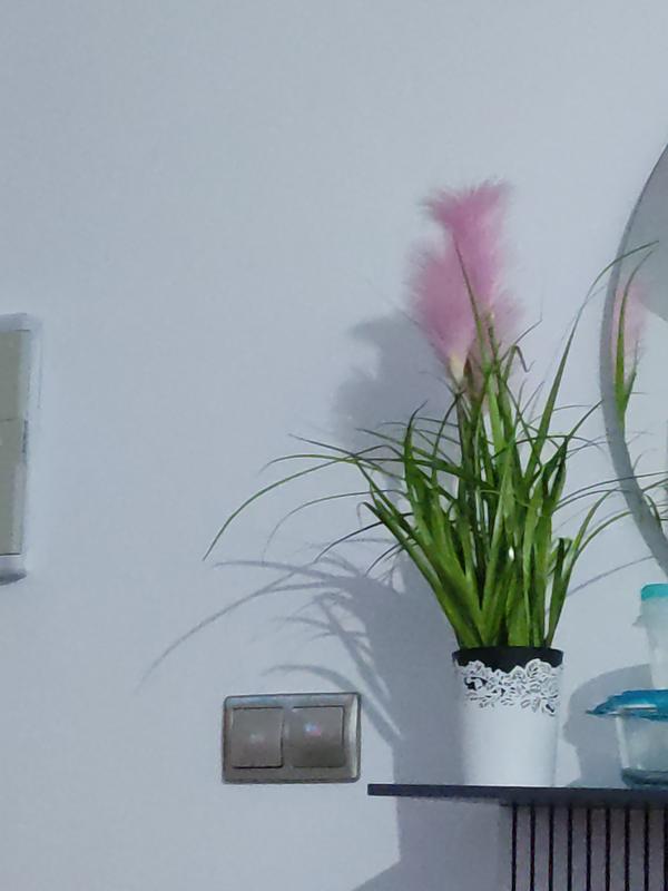 Abra o modal de avaliação 1 de 1