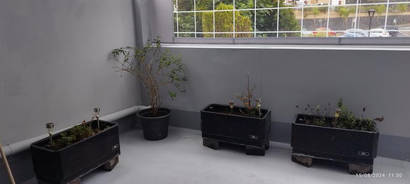 Abrir modal de revisión 2 de 2