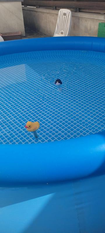 Abrir modal de revisión 1 de 1