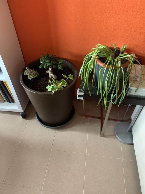 Abrir modal de revisión 1 de 1