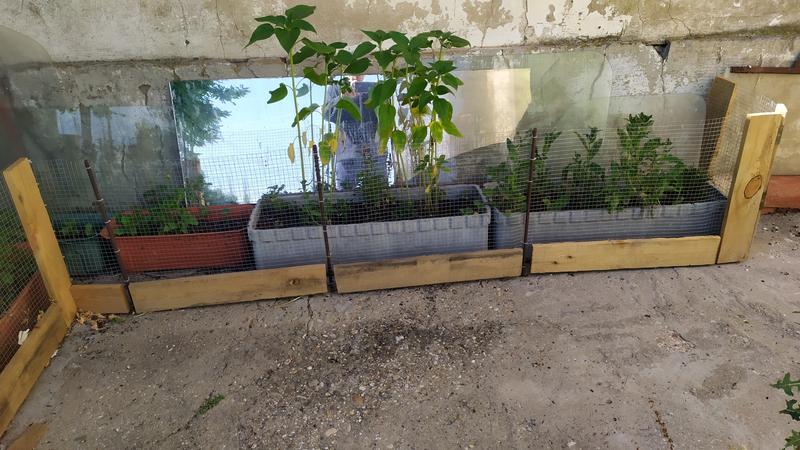 Ouvrir la fenêtre modale de l'avis 2 sur 6