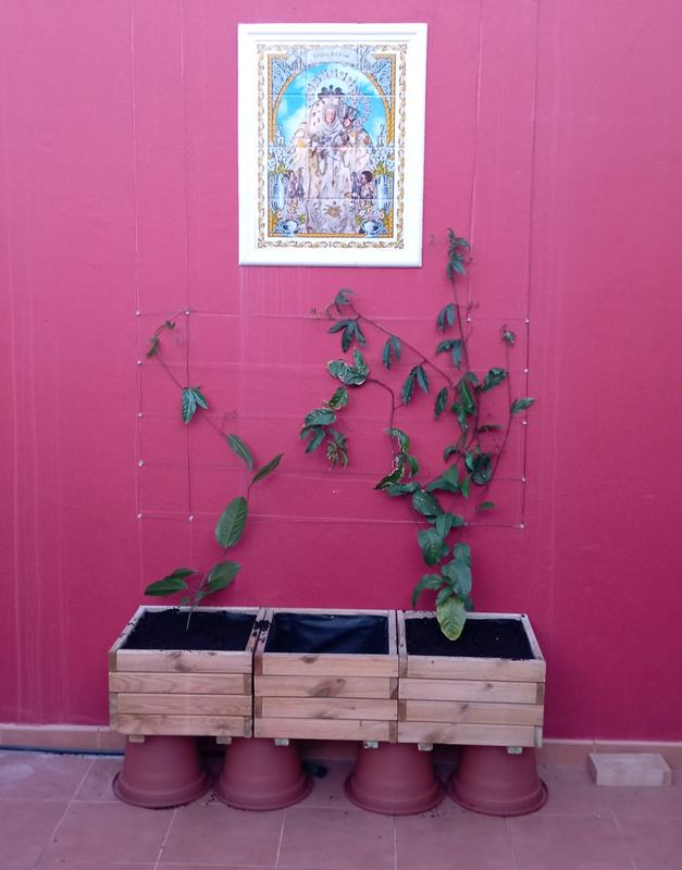 Abrir modal de revisión 1 de 1