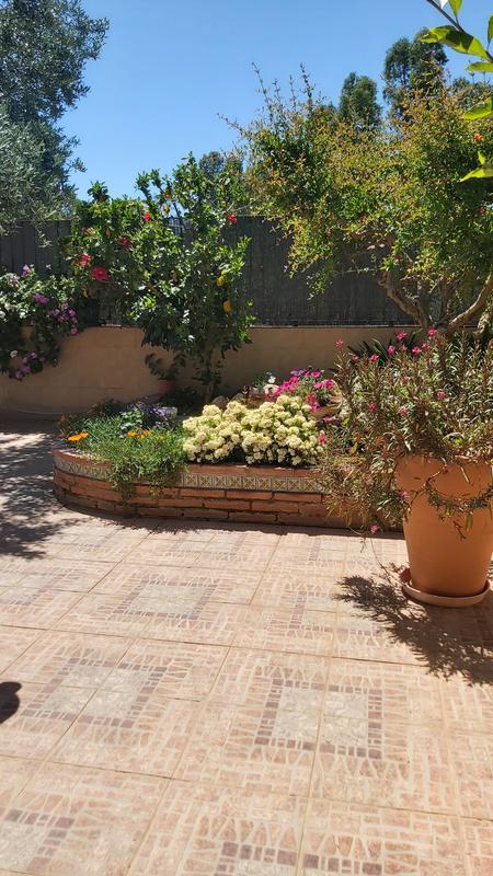 Abrir modal de revisión 1 de 2