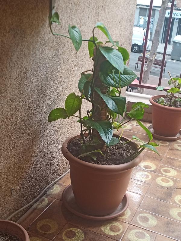 Ouvrir la fenêtre modale de l'avis 1 sur 1