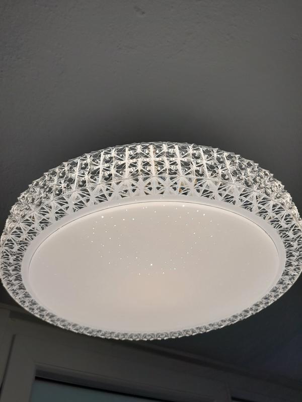 Abrir modal de revisión 6 de 6