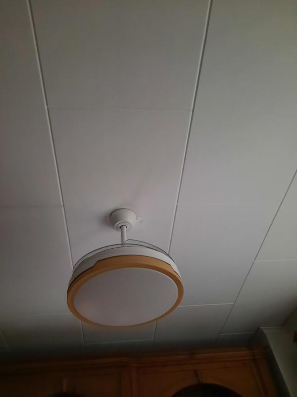 Abrir modal de revisión 1 de 1