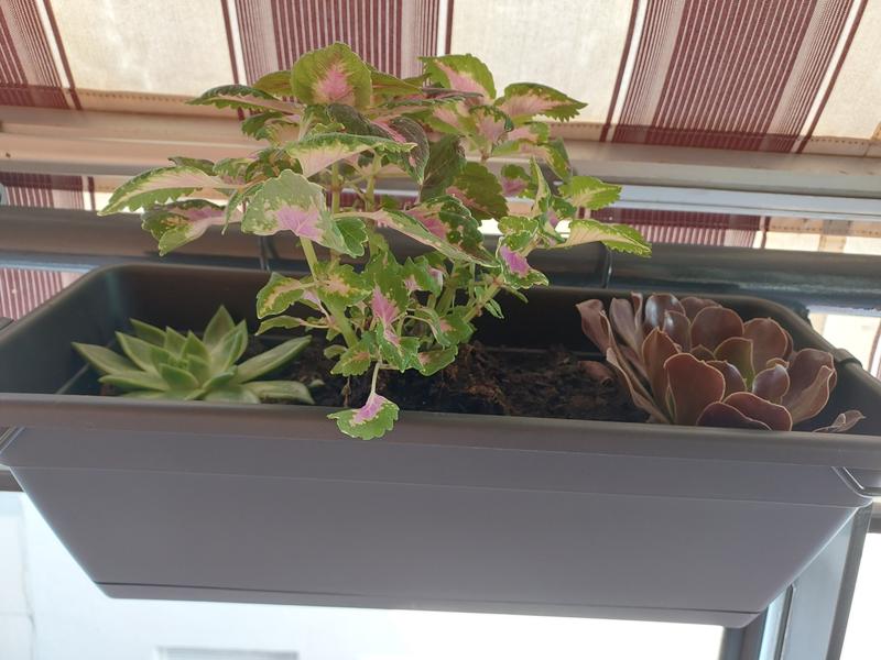 Abrir modal de revisión 1 de 1