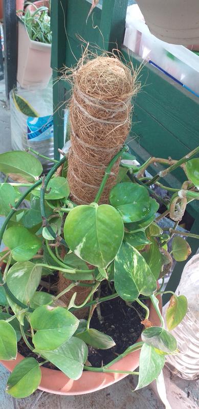 Ouvrir la fenêtre modale de l'avis 2 sur 2