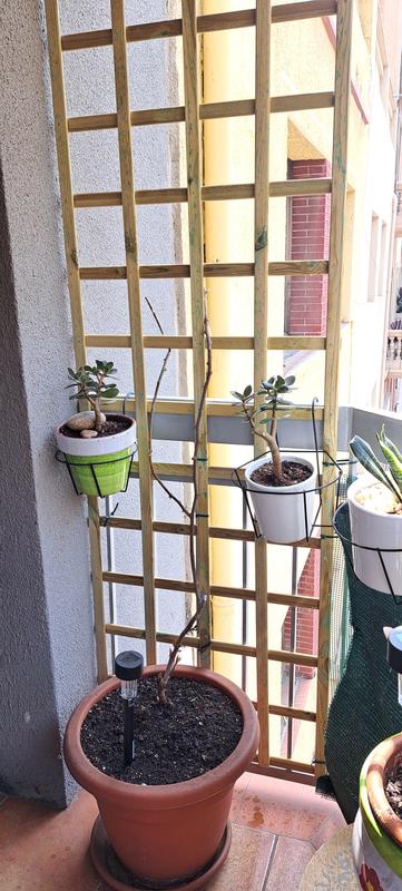 Abra o modal de avaliação 1 de 1