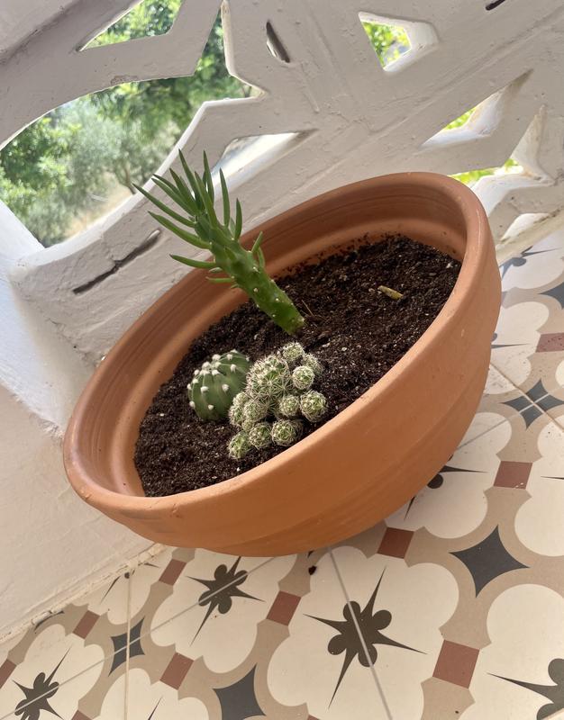 Abrir modal de revisión 1 de 1