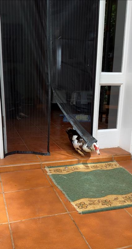 Otwórz okno opinii 2 na stronie 2