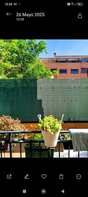 Abrir modal de revisión 1 de 1